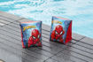 Picture of Spiderman Arm Bands 23X15cm